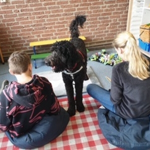 Inzet mét therapiehond